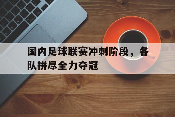 国内足球联赛冲刺阶段,各队拼尽全力夺冠 国内足球联赛冲刺阶段,各队拼尽全力夺冠